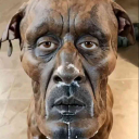 avatar ROBERT FIGGLEBOTTOM