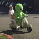 drb0rk
