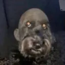 titiuv