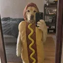 scarytoast