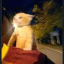 scarytoast