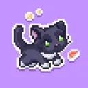 catter1