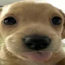 k0mprssd