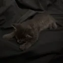 hikatz