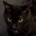 Pixel
