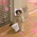 itskatato