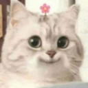 avatar ᴸ♡ᵛᴱᴿᵞ