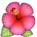 hibiskiss