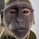 hyugavlr