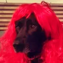 redlabl