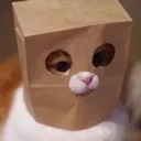 plopdaplop