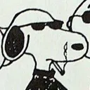 veygo