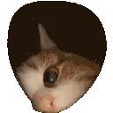 snoopie