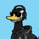 zilliquack