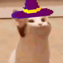zeper
