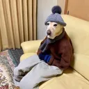 mrsmhk