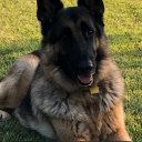 gomerhead#9677's avatar