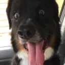 Nicotine2841's Avatar