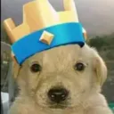 hectordg2