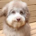 neqzn