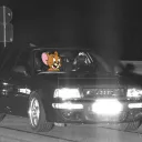thatonedamnmouse