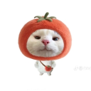 avatar อาเปา