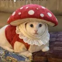 klabiama