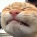 feorra