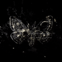 avatar NEW ACCOUNT: chancelost