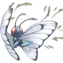 aomushi64