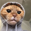 Cap-Builder | Dark_nikolino