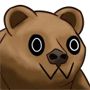eoinbear