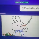 sallyvg