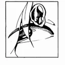 hayamimiya