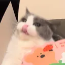 0._.0o.