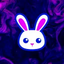 .vunnyl