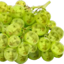 gforceden10