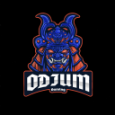 odium96#6221's avatar