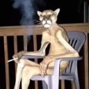 avatar Tasha⋆౨ৎ˚⟡˖ ࣪