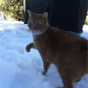 hitmanty
