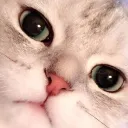 meowchi_02