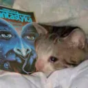inisvitre