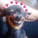 uwu041617