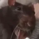 fr0stynippytipy