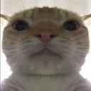 frizulh