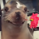 avatar 𝐋𝐢𝐧𝐝𝐚 🦭