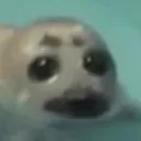 klothomon