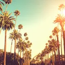 blur7338