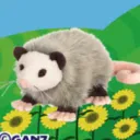 auggiez