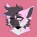 kaidenmay